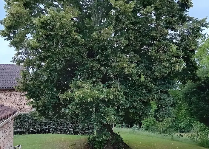 La Maison De Carmensac 펜션